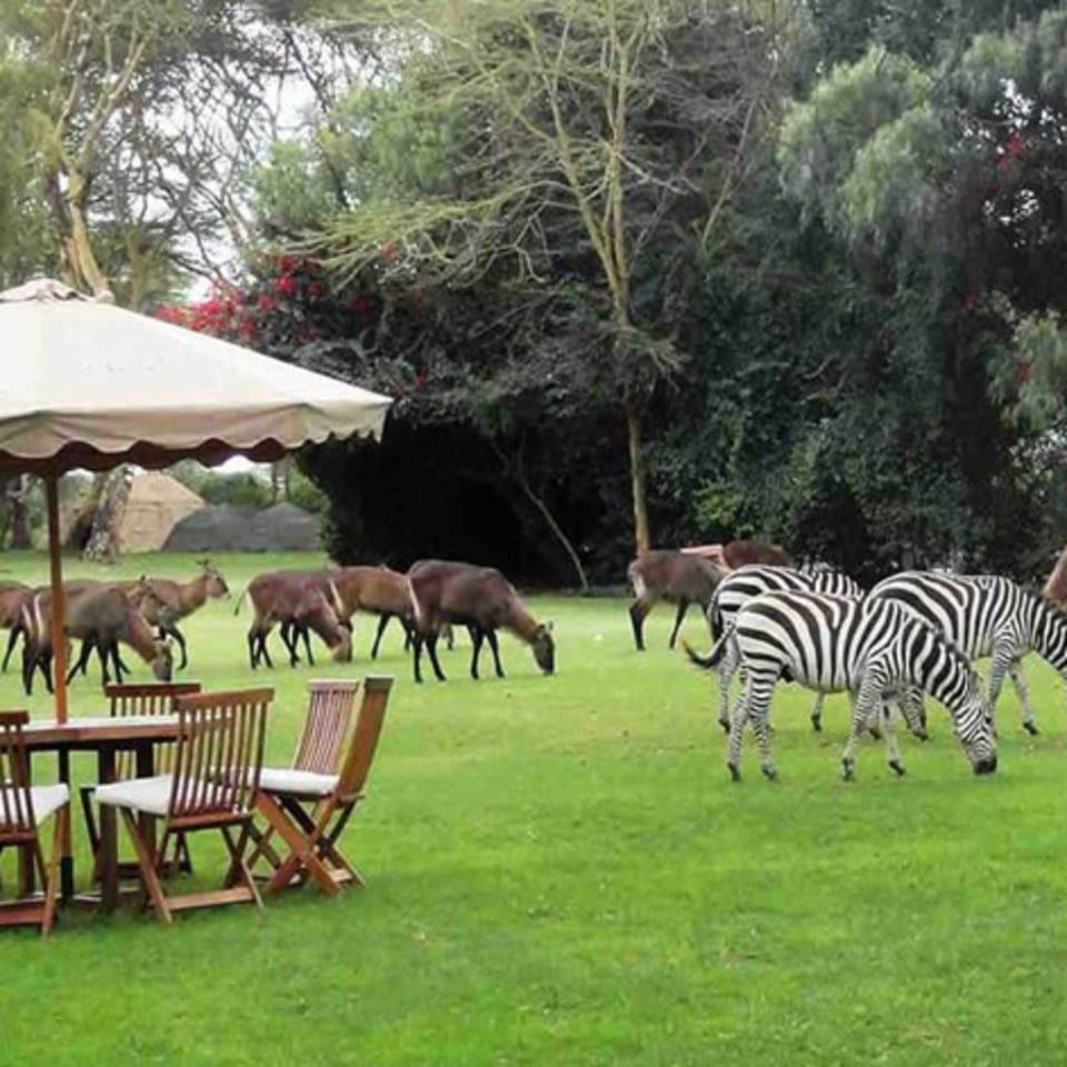 Lake Naivasha Country Club